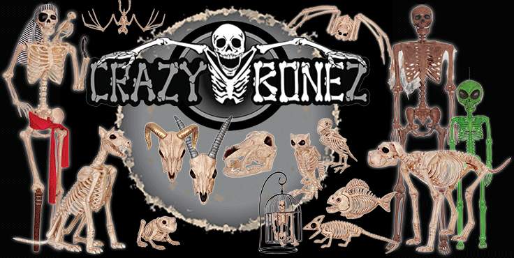  Crazy Bonez Skeleton Dog - Bonez The Dog : Home & Kitchen